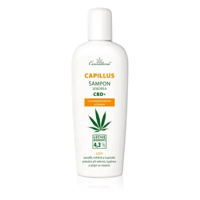 Cannaderm Seborea CBD+ šampon proti lupům 150 ml