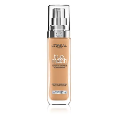 L’Oréal Paris True Match tekutý make-up odstín 6N 30 ml