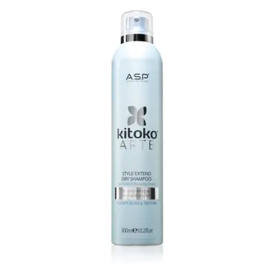 ASP kitoko Arte Extend Dry Shampoo suchý šampon 300 ml