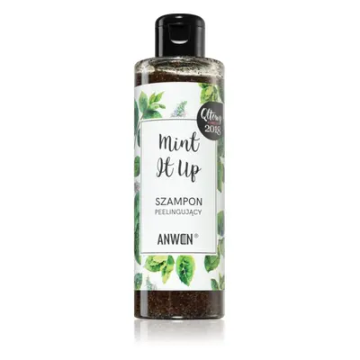 Anwen Mint It Up exfoliační šampon 200 ml