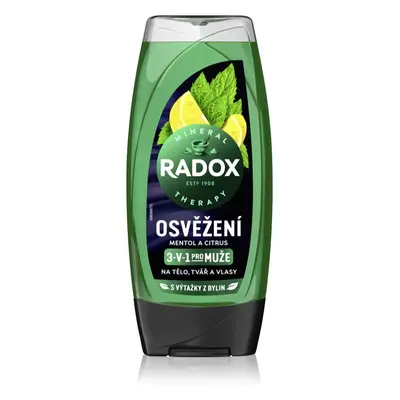 Radox Men Feel Strong sprchový gel a šampon 2 v 1 Mint & Tea Tree 225 ml