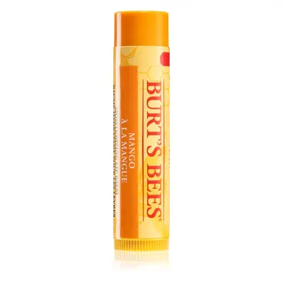 Burt’s Bees Lip Care vyživující balzám na rty (with Mango Butter) 4,25 g