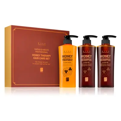 DAENG GI MEO RI Honey Therapy Professional Hair Care Set dárková sada pro výživu a hydrataci