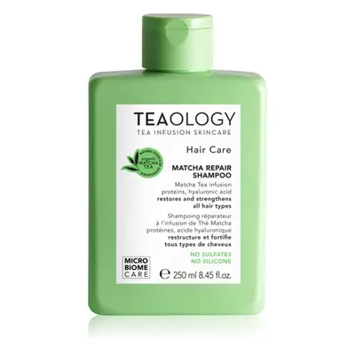 Teaology Hair Matcha Repair Shampoo šampon pro posílení vlasů 250 ml