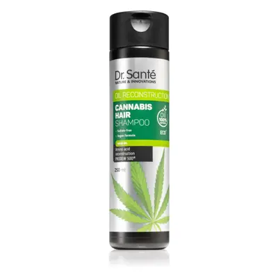 Dr. Santé Cannabis regenerační šampon s konopným olejem 250 ml