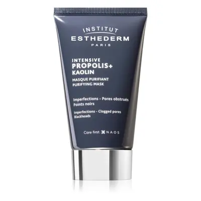 Institut Esthederm Intensive Propolis+ Purifying Mask čisticí maska pro problematickou pleť, akn