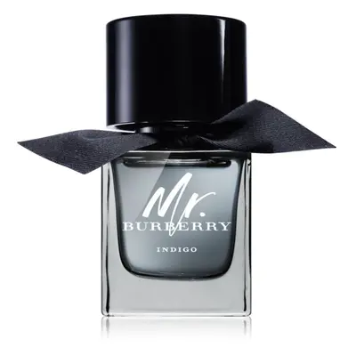 Burberry Mr. Burberry Indigo toaletní voda pro muže 50 ml