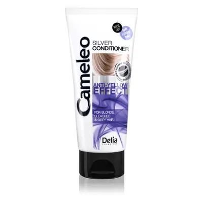 Delia Cosmetics Cameleo Silver kondicionér pro blond a šedivé vlasy neutralizující žluté tóny 20