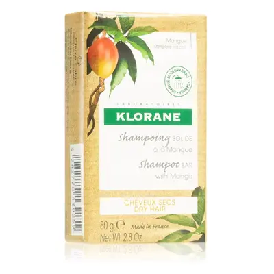 Klorane Mango tuhý šampon pro výživu a lesk 80 g