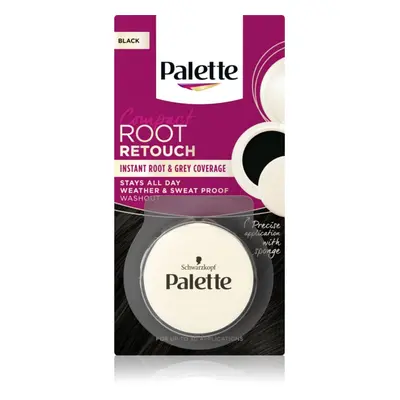 Schwarzkopf Palette Compact Root Retouch vlasový korektor odrostů a šedin s pudrovým efektem ods