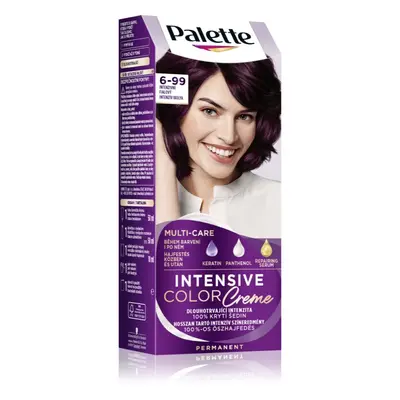 Schwarzkopf Palette Intensive Color Creme permanentní barva na vlasy odstín 6-99 (V5) Intense Vi