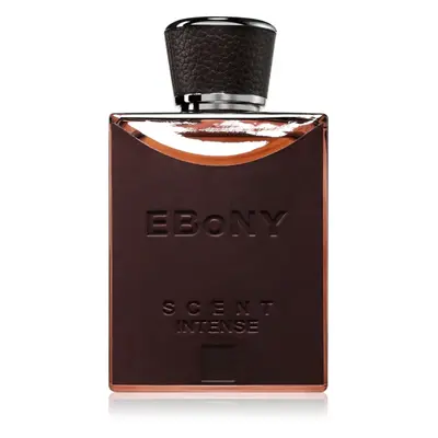 Fragrance World Ebony Scent Intense parfémovaná voda pro muže 100 ml