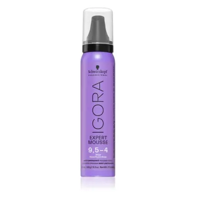 Schwarzkopf Professional IGORA Expert Mousse barvicí pěna na vlasy odstín 9,5-4 Beige 100 ml