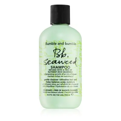 Bumble and bumble Seaweed Shampoo šampon na vlnité vlasy s výtažky z mořských řas 250 ml