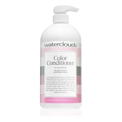 Waterclouds Color Conditioner hydratační kondicionér na ochranu barvy 1000 ml