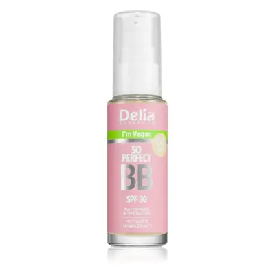 Delia Cosmetics BB So Perfect matující BB krém s hydratačním účinkem odstín 01 Light 30 ml