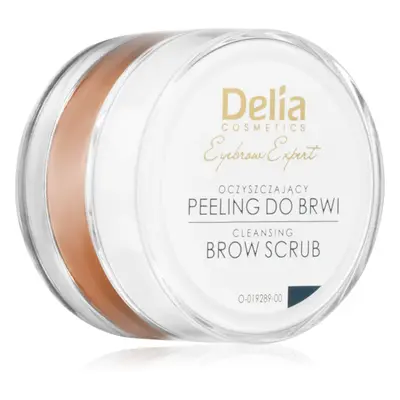 Delia Cosmetics Eyebrow Expert peeling na obočí 10 ml