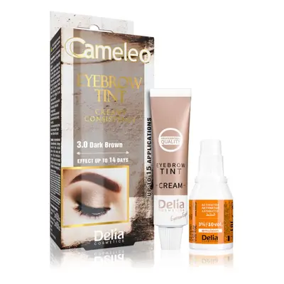 Delia Cosmetics Cameleo krémová profesionální barva na obočí bez amoniaku odstín 3.0 Dark Brown 