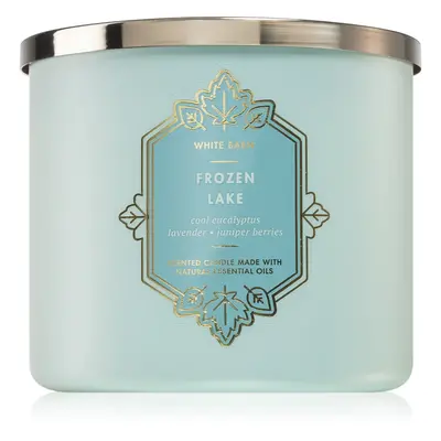 Bath & Body Works Frozen Lake vonná svíčka 411 g