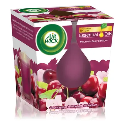 Air Wick Essential Oil Mountain Berry Blossom vonná svíčka 105 g