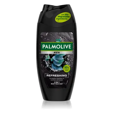 Palmolive Men Refreshing sprchový gel pro muže 2 v 1 pro muže 250 ml