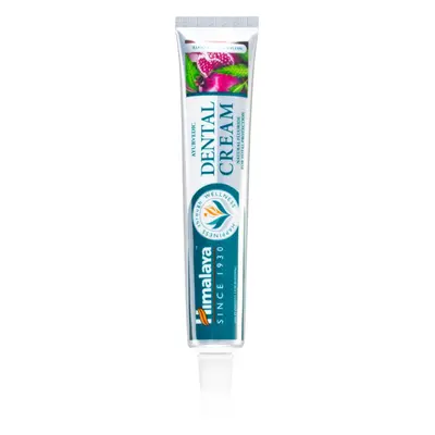 Himalaya Herbals Oral Care Ayurvedic Dental Cream bylinná zubní pasta s fluoridem mix barev 100 