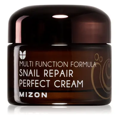 Mizon Multi Function Formula Snail pleťový krém s filtrátem hlemýždího sekretu 60% 50 ml