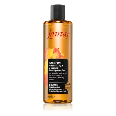 Farmona Jantar Amber Essence šampon pro poškozené vlasy 300 ml