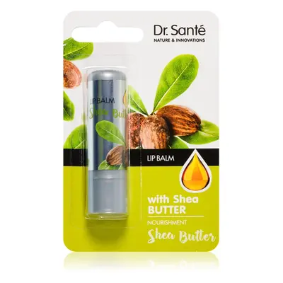 Dr. Santé Shea Butter balzám na rty 3,6 g