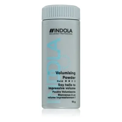 Indola Volumising Powder matující objemový pudr 10 g