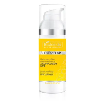 Bielenda Professional Supremelab Barrier Renew hydratační a vyživující krém NMF Complex 50 ml