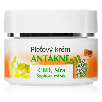 Bione Cosmetics Antakne pleťový krém se sírou 51 ml