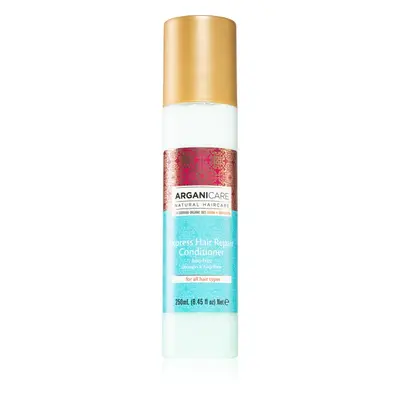 Arganicare Argan Oil & Shea Butter Express Hair Repair bezoplachový kondicionér ve spreji 250 ml