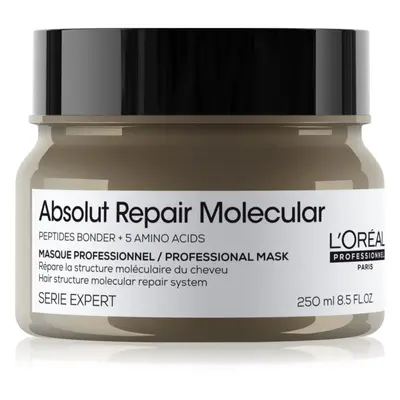 L’Oréal Professionnel Serie Expert Absolut Repair Molecular hloubkově posilující maska na vlasy 