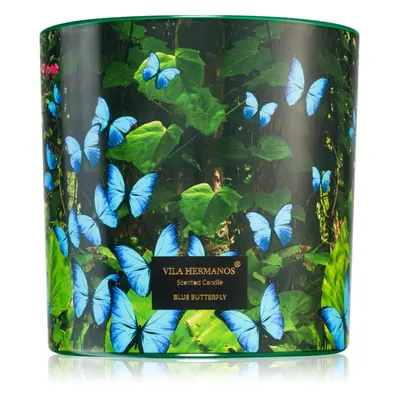 Vila Hermanos Jungletopia Blue Butterfly vonná svíčka 620 g