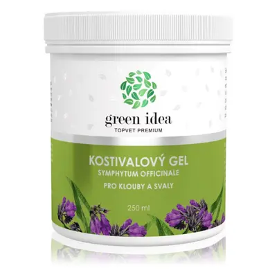 Green Idea Kostivalový gel masážní gel na svaly a klouby 250 ml