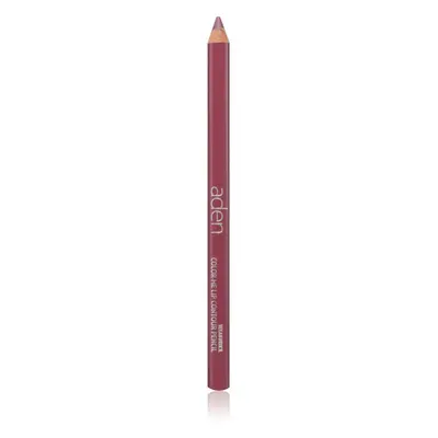 Aden Cosmetics Lipliner Pencil tužka na rty odstín 03 Berry 0,4 g