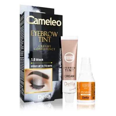 Delia Cosmetics Cameleo krémová profesionální barva na obočí bez amoniaku odstín 1.0 Black 15 ml