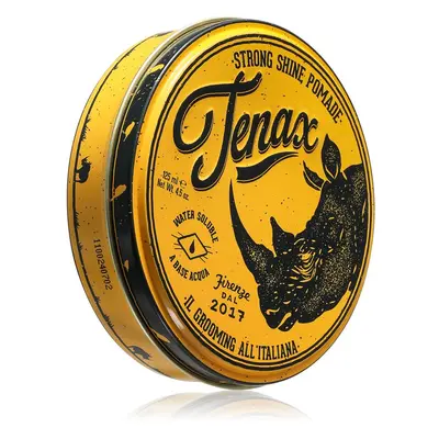 Tenax Strong Hold Pomade pomáda na vlasy pro muže 125 ml