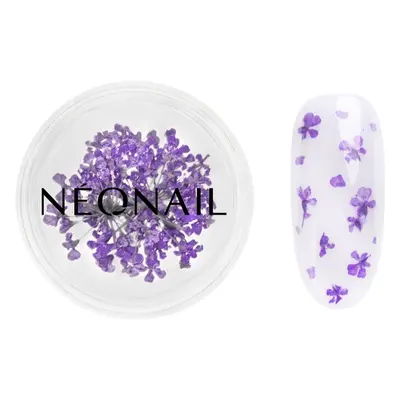 NEONAIL Dried Flowers sušený květ na nehty odstín 06 Violet 1 ks