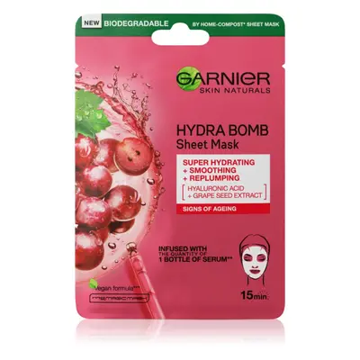 Garnier Skin Naturals Hydra Bomb vyhlazující plátýnková maska 28 g