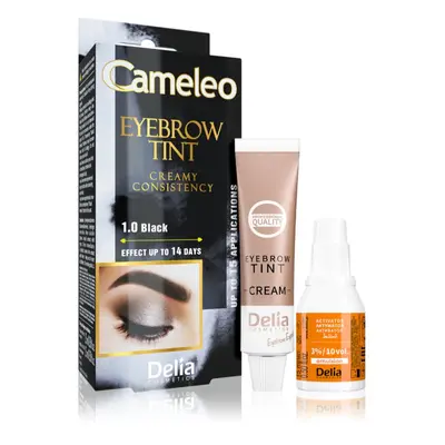 Delia Cosmetics Cameleo krémová profesionální barva na obočí bez amoniaku odstín 1.0 Black 15 ml