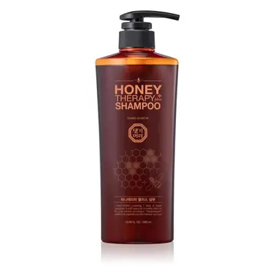 DAENG GI MEO RI Honey Therapy Professional Plus Shampoo regenerační šampon pro slabé a poškozené