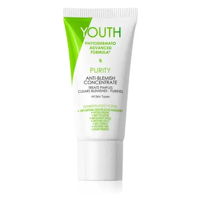 YOUTH Purity Anti-Blemish Concentrate lokální péče proti akné 20 ml