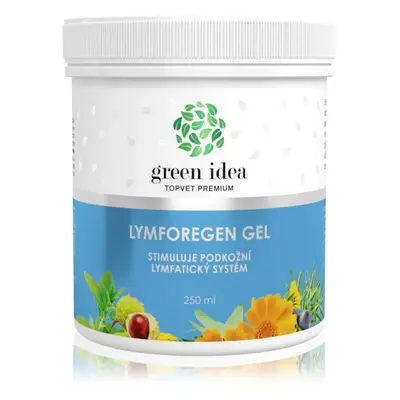 Green Idea Lymforegen masážní gel 250 ml