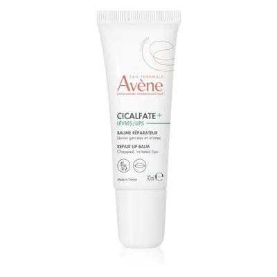 Avène Cicalfate+ obnovující balzám pro suché rty 10 ml