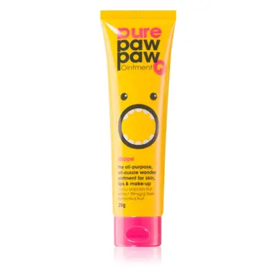 Pure Paw Paw Grape balzám na rty a suchá místa 25 g