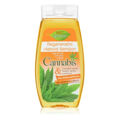 Bione Cosmetics Cannabis regenerační šampon 260 ml