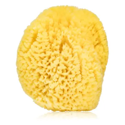 Agnotis Natural sponge dětská mycí houba 1 ks