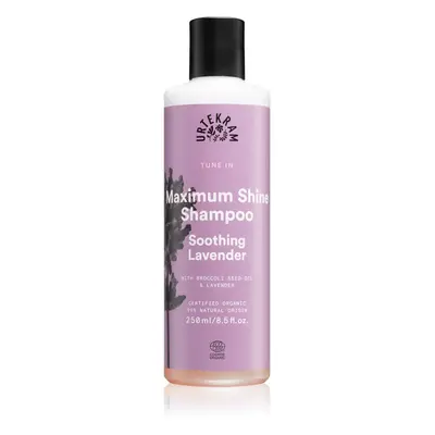 Urtekram Soothing Lavender zklidňující šampon pro lesk a hebkost vlasů 250 ml